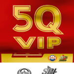 5Q VIP 乒乓球膠片